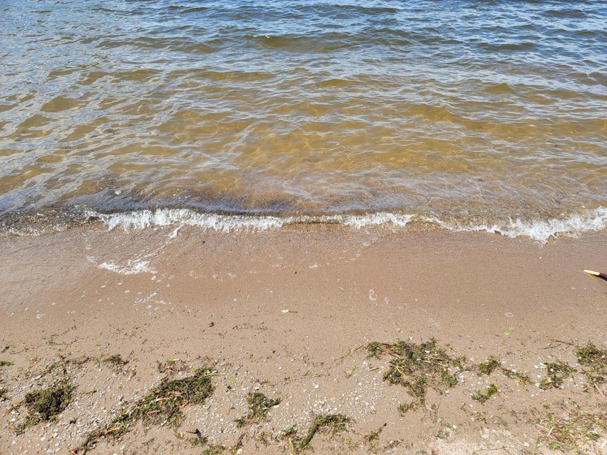 Fun Place With A Sandy Beach For Swimming, Boating, And Fishing, Featuring 3 Available Cabins Fenelon Falls 外观 照片